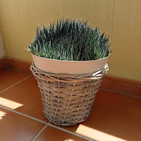 Appartamento Sunrise *